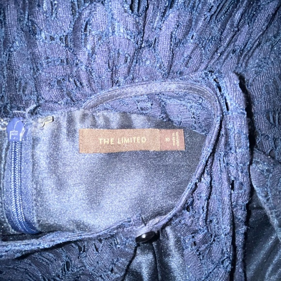 The Limited Lace Dress size 10 - Picture 7 of 8